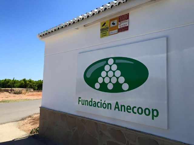 Anecoop