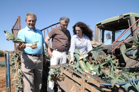 Finca La Pequeña Holanda