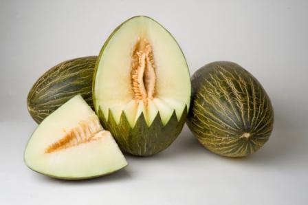 Melón Piel de Sapo Batidor, de Syngenta.