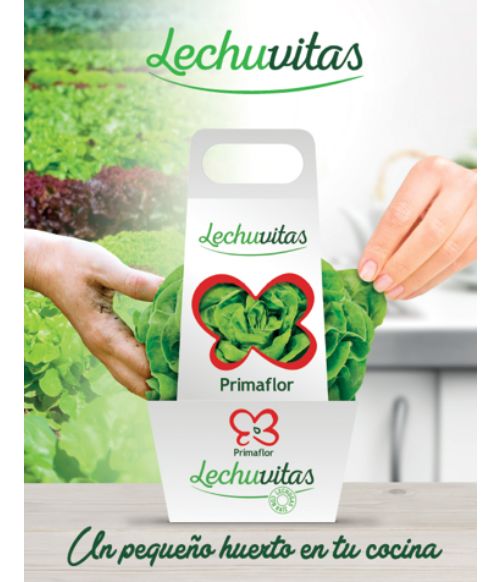 `Lechuvitas`