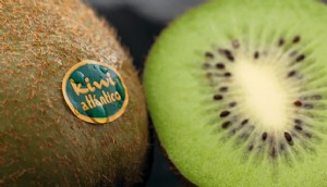 Kiwi Atlántico