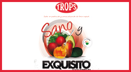 Campaña Mango Trops 2014