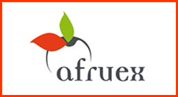 Logo Afruex