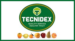 Logo Tecnidex