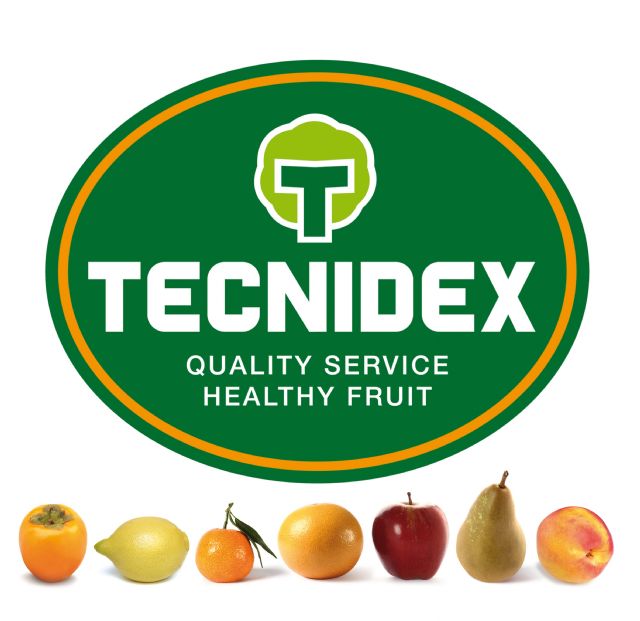 Logo Tecnidex